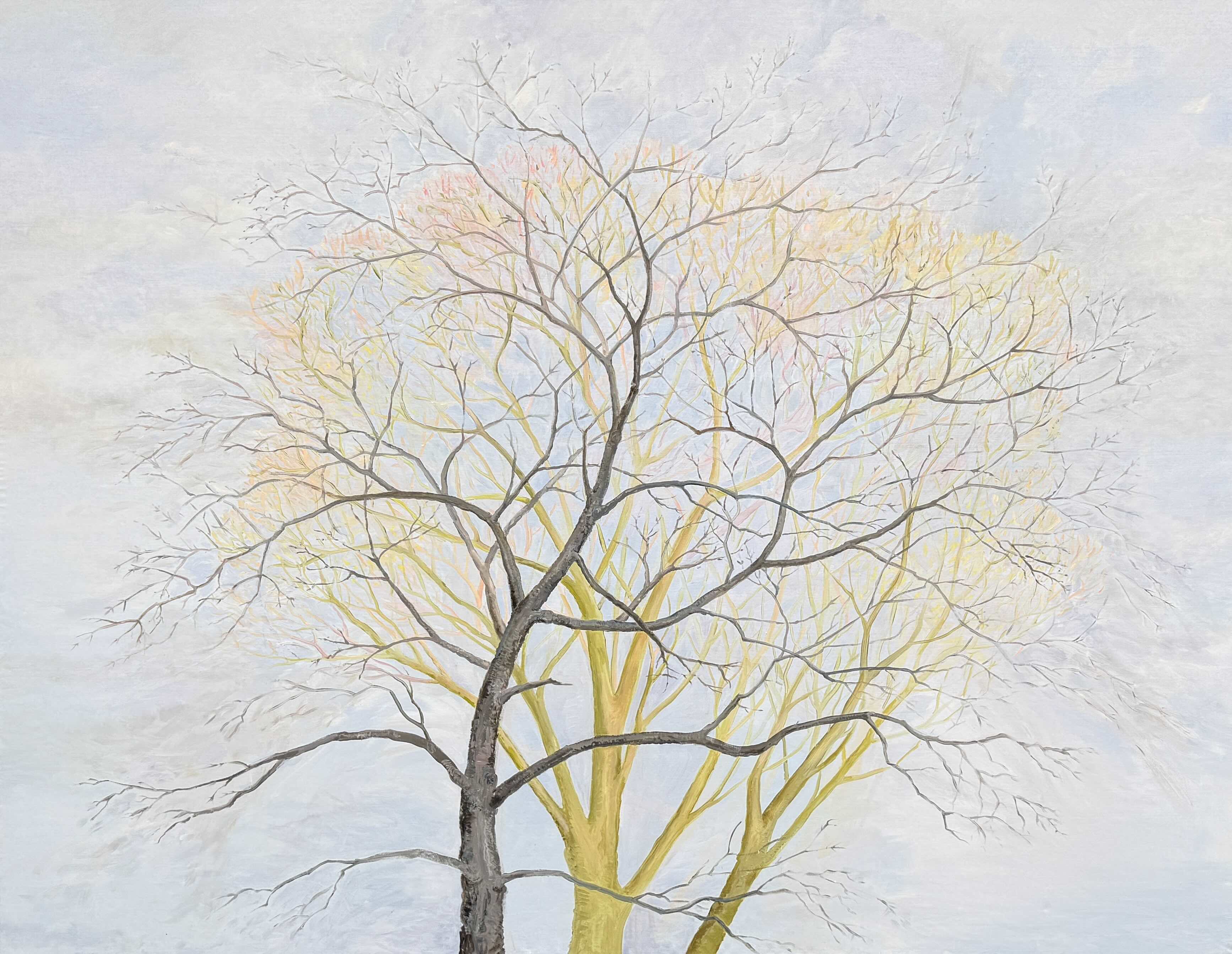 kb Baum