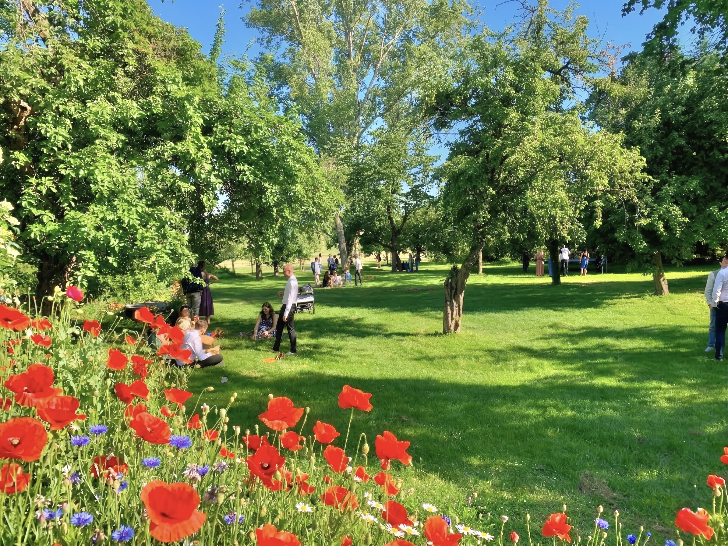 3918BA64-A1EA-49BB-86C0-6ABB5DB8F615_1_201_a