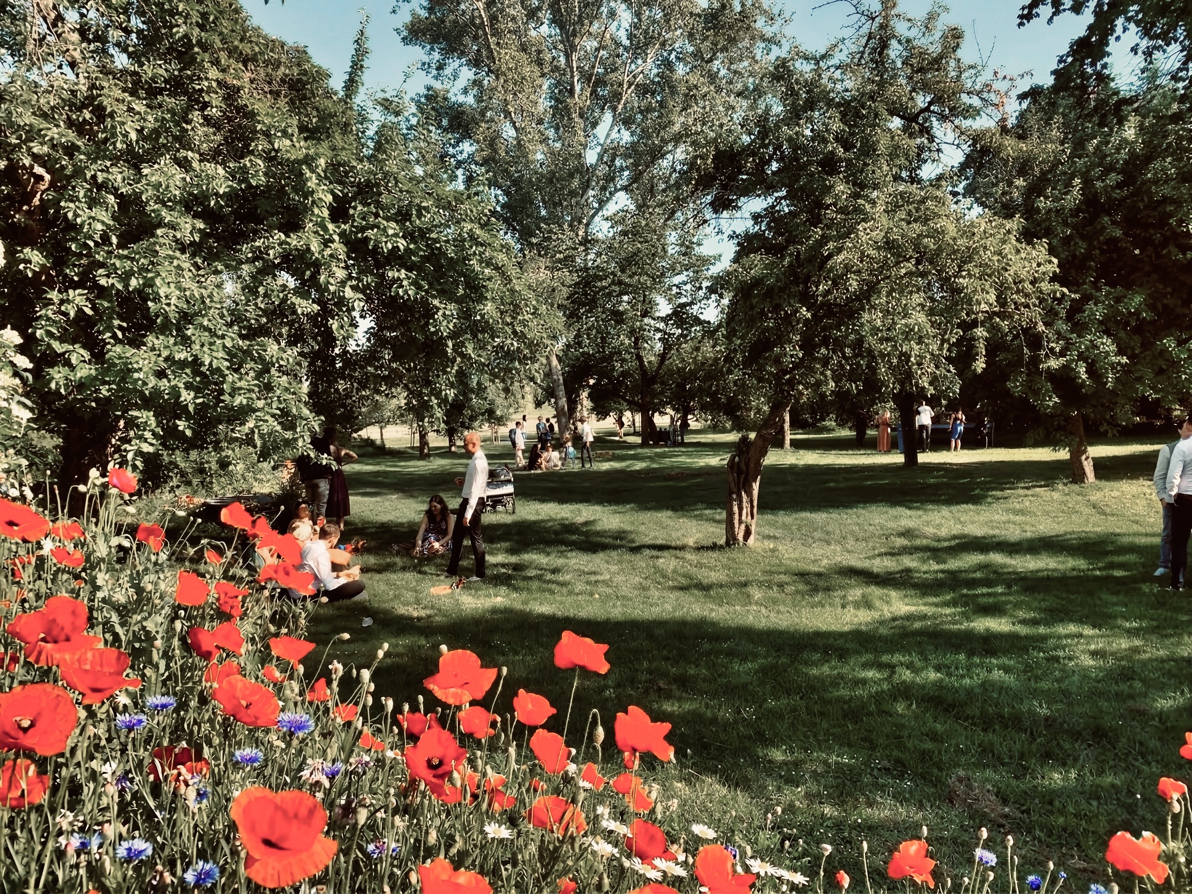 3918BA64-A1EA-49BB-86C0-6ABB5DB8F615_1_201_a