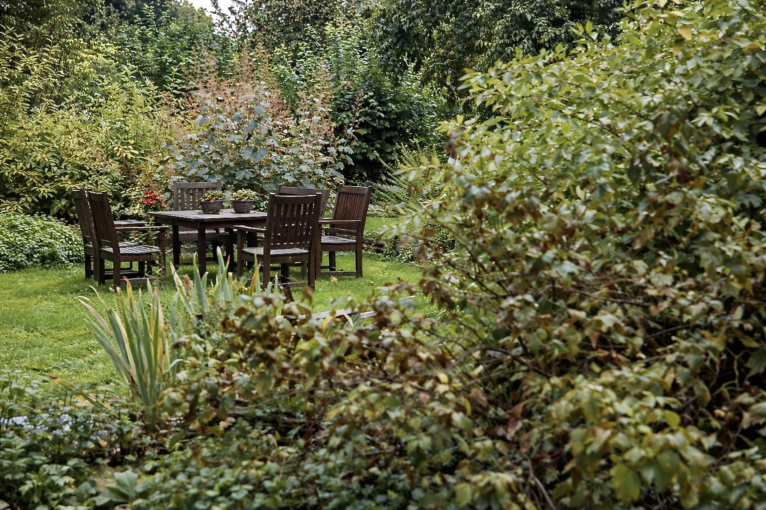 94C4AFC2-2857-49E3-88D4-7E4C4FD05F48_1_201_a